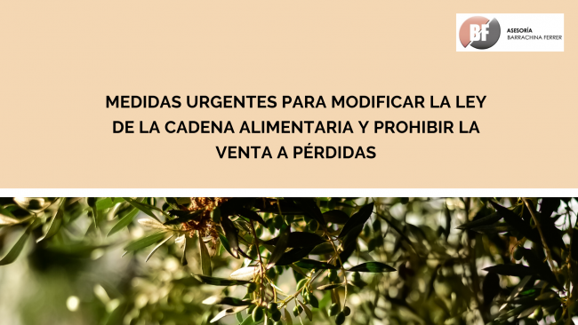 Pink and White Social Media Strategy Presentation