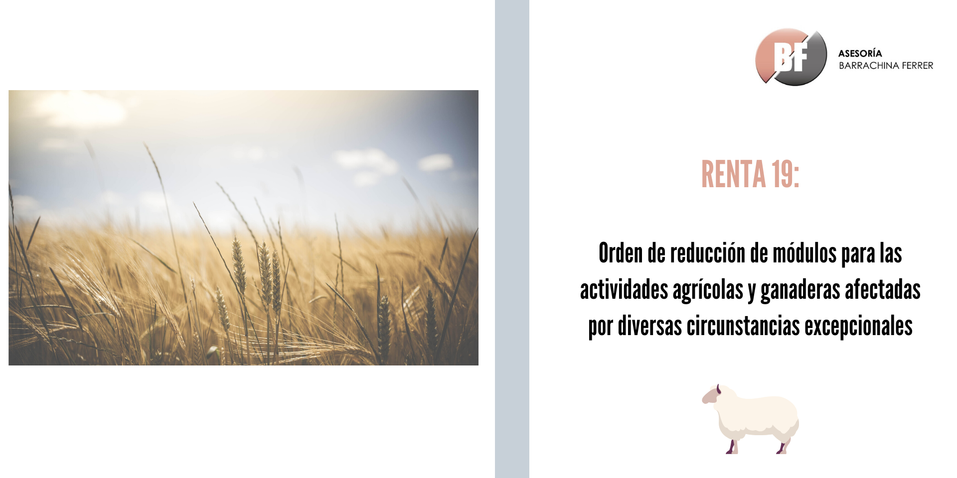 White Minimalist Snowy Themed Daily Calendar (5)