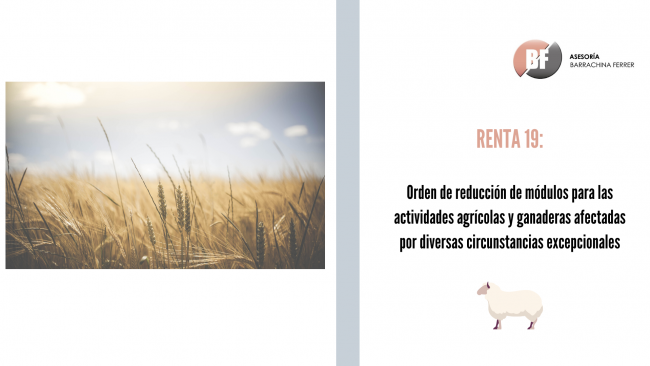 White Minimalist Snowy Themed Daily Calendar (5)